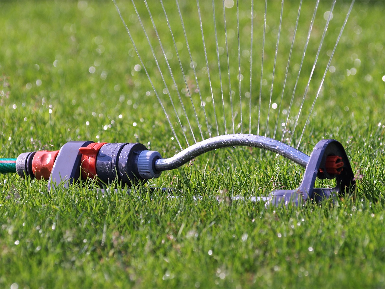 How To Care For A Newly Laid Lawn