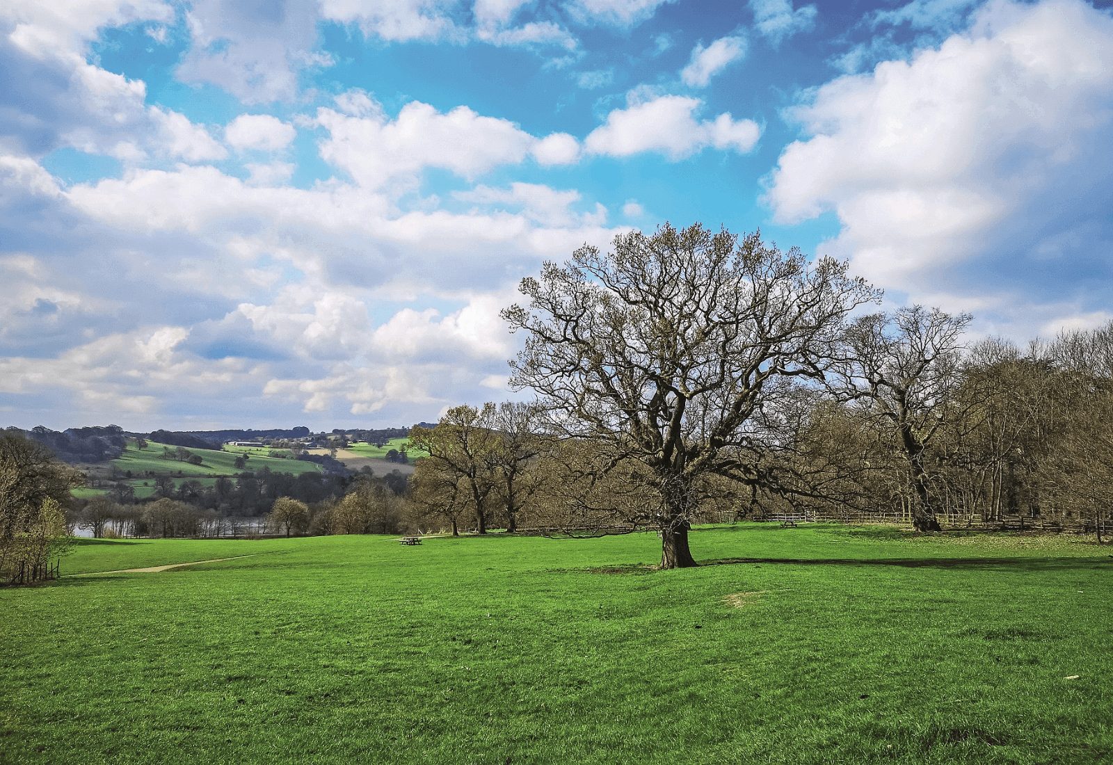 Best Parks to visit in South Yorkshire