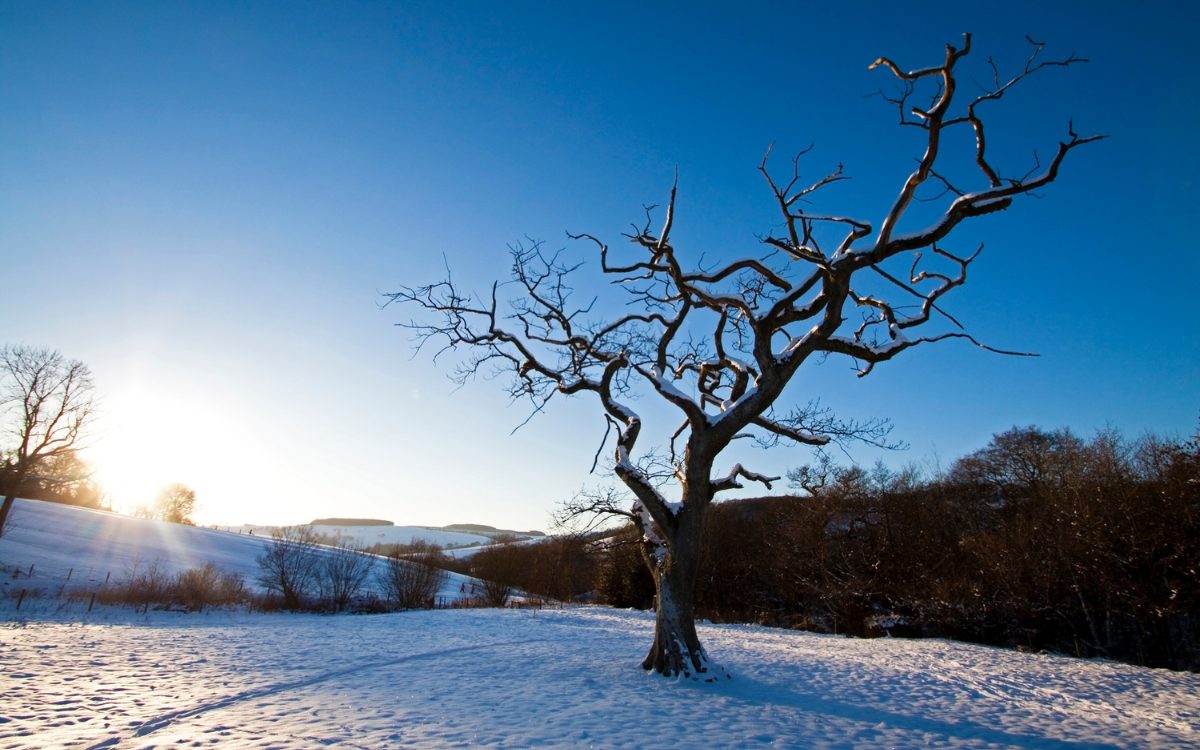 The Great Yorkshire Outdoors – Winter Walks Near Your New Build Home